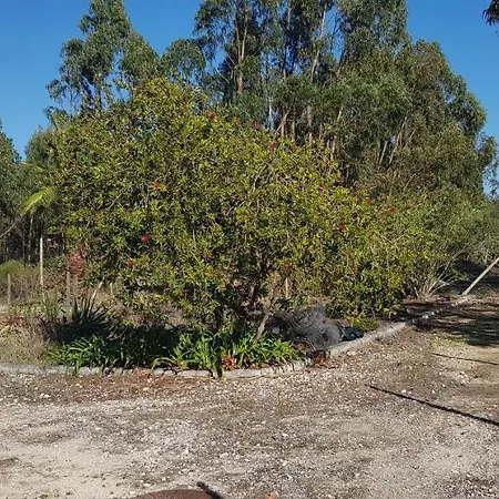 Casa Dos Morgados * Caldas Da Rainha